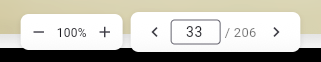 Page navigation and zoom controls